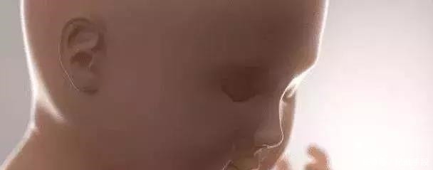 打嗝|孕期肚子“一跳一跳”是怎么回事若以为胎动的话,那你可能错了