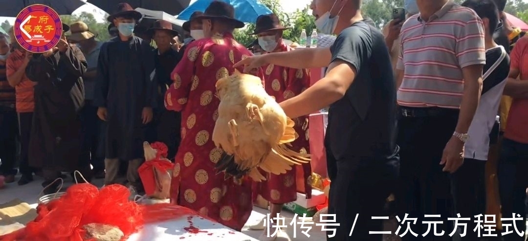 殺雞祭祖場(chǎng)面熱鬧!全紅嬋家族迎來(lái)盛大儀式,族長(zhǎng)親自為全爸表彰