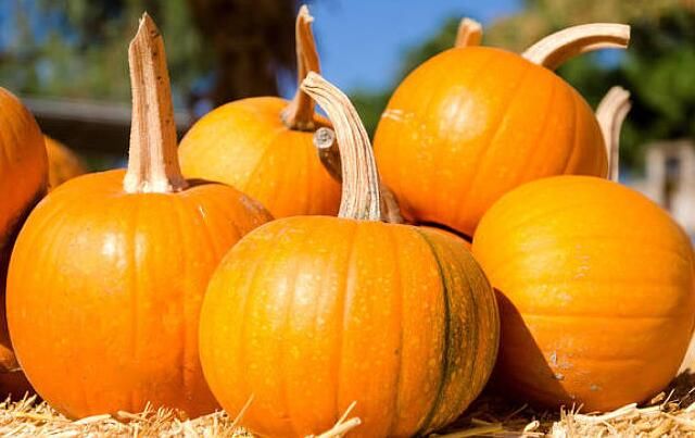 湿热|长夏调理脾胃 巧用黄色食物