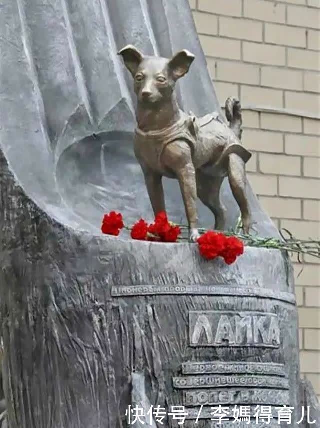 宇航员 第一个登上太空的宇航员,不是加加林,而是一只狗……