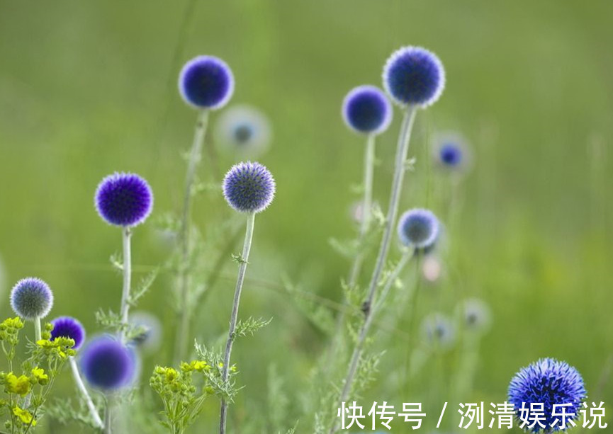 肖女|不老女神，这3大生肖女活到老美到老，越老越风情，越老越迷人