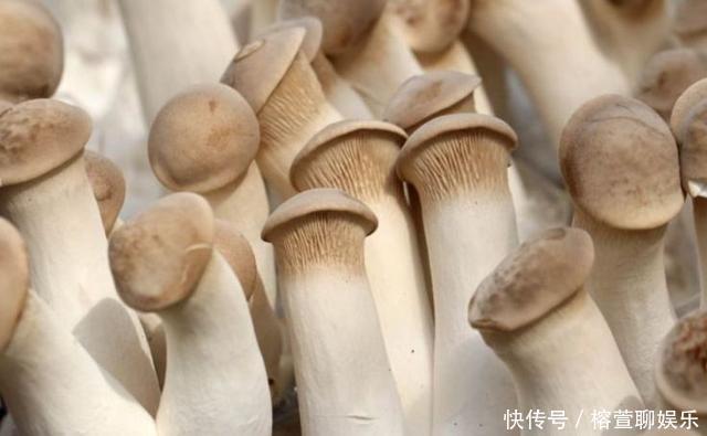 女性想变美，以下食物别放过，滋补养颜，减少黑毒素，脸色红润