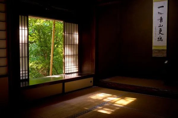 寒蝉|立秋之后,寒蝉鸣