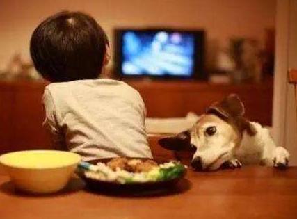 宝爸|追剧宝妈给孩子取名“凤九”,宝爸一听哭笑不得:看看我姓啥?