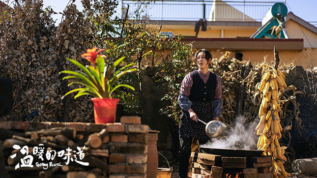 与新时代农村“零时差”，靳东主演《温暖的味道》用田园生活治愈都市冷漠症