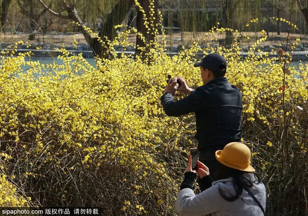 美爆了！解锁京城春天的密码，就在这些地方！