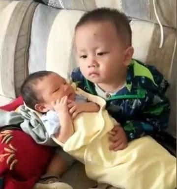 大宝|叫你要妹妹!叫你要妹妹!4岁哥哥哄妹妹哄得生无可恋,宝妈笑翻