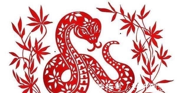 福气|生来就是富贵命的四大生肖，福气满满，好事不断