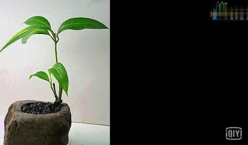 在垃圾桶里装满泥土,摆在阳台上有妙用,一年能帮你省下不少钱