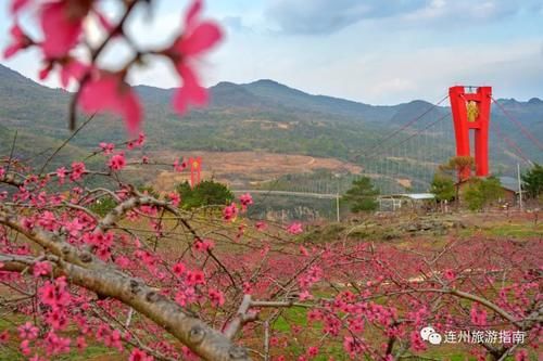 中年|桃花正当时，带着你的“李焕英”来连州赏花吧！