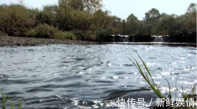 诗句|“满船清梦压星河”何德何能被誉为元代最美诗句?