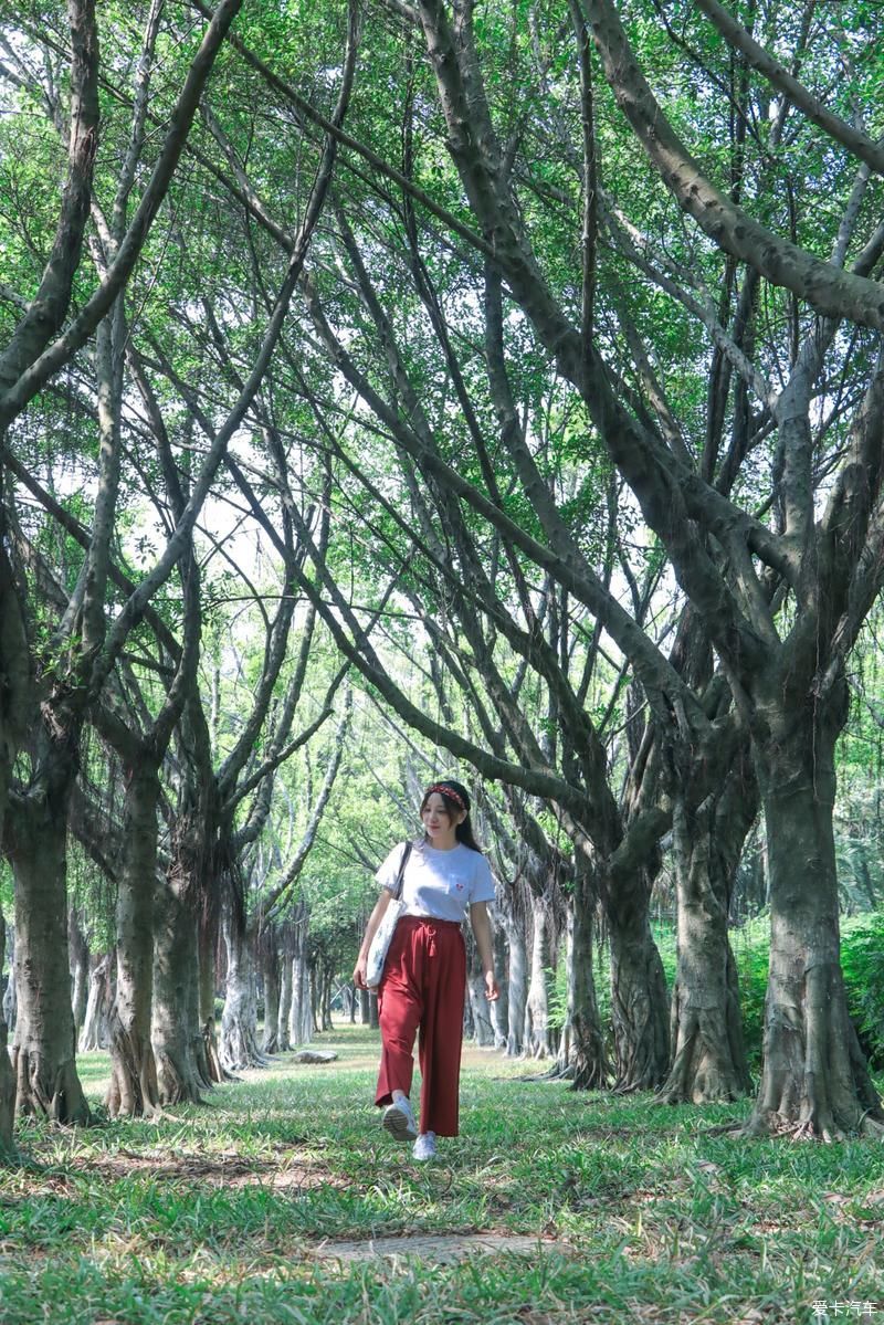 村里|古村里的顺德味