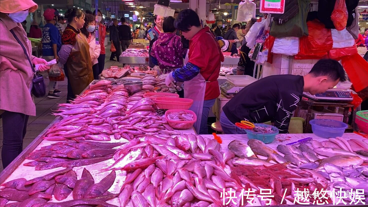 黄鱼|海鲜市场这5种鱼,别看不起眼,都是纯海鱼,营养价值高,别不懂