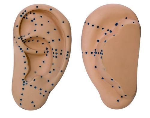 针刺法|揉摩耳廓益健康吗?神奇小锤可疗疾?你知道是什么小锤吗?