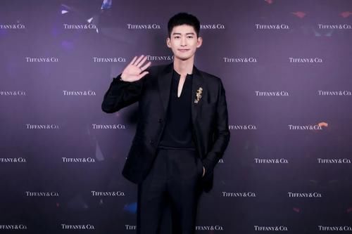 Tiffany 家最大的钻石，好闪！