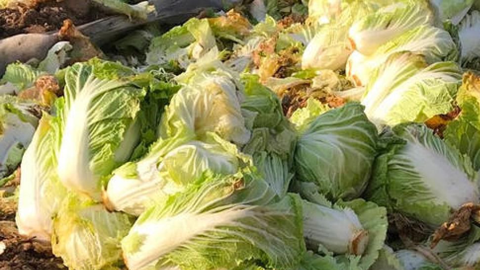 时间|食物过了保质期还能吃吗?以前太傻不知道,常见食物保质期的误区