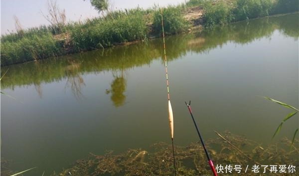 钓鱼技巧钓底调漂公式,何时最灵何时最钝可以参考公式