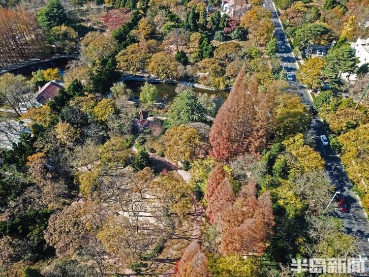 八大关景区|初冬青岛，“颜值”在线！