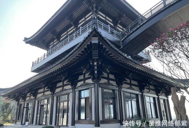 小镇|琼楼玉宇衢江边:相遇暖冬下的龙游红木小镇