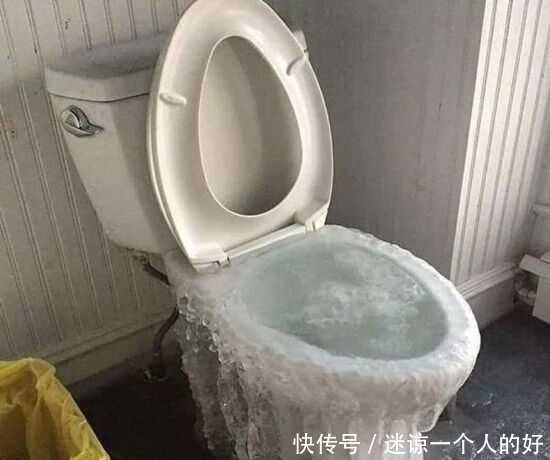 没鱼缸就算了,放这养你考虑过鱼的感受吗