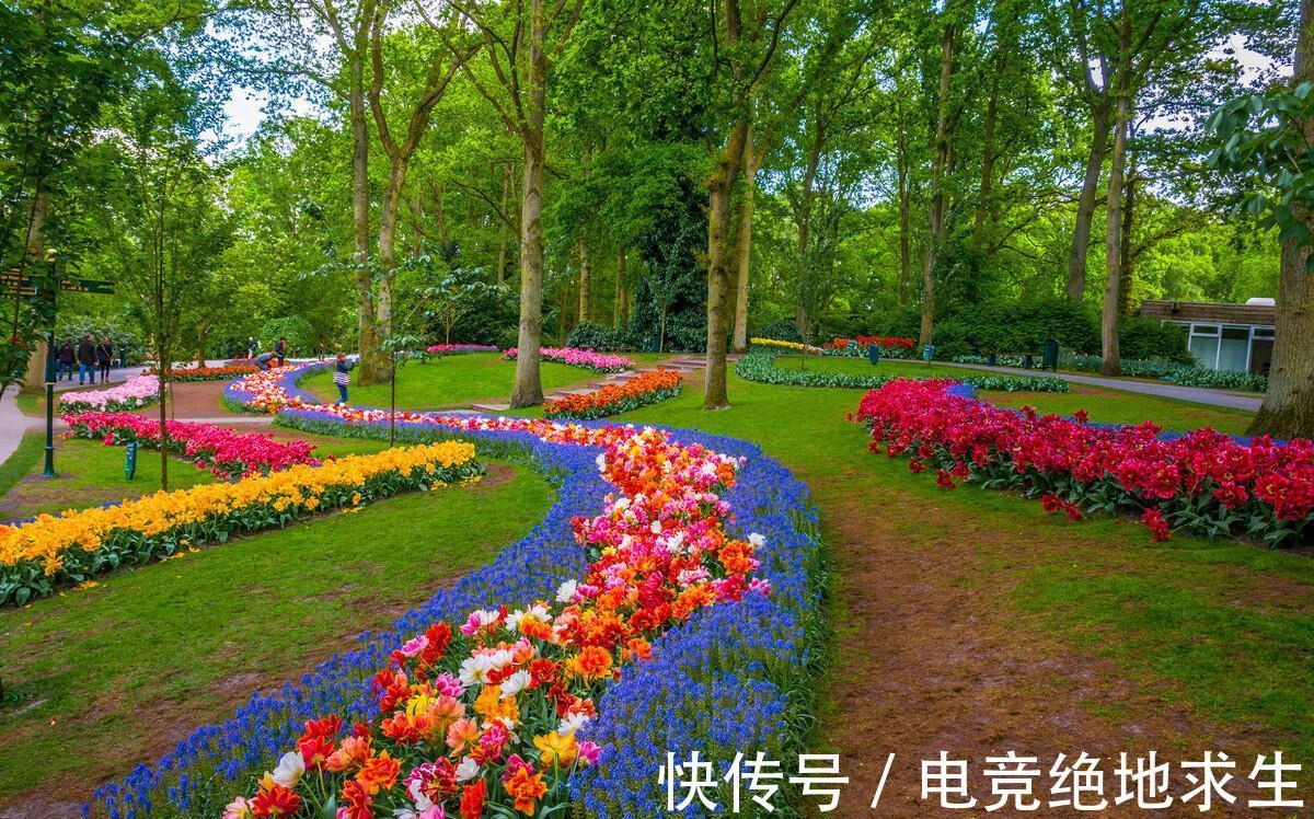 植物|连这些种花常识都不知道，你说你会养花