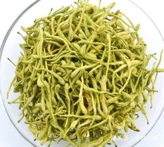 燃脂|金银花和此物泡,早起一杯,燃脂一整天,排出垃圾毒素,皮肤细腻