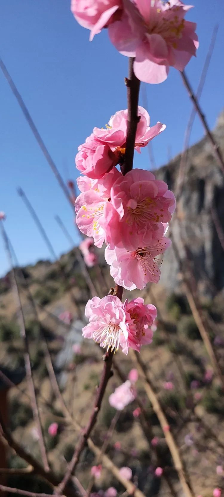 指南村|登顶东川小牯牛山——慈悲殿