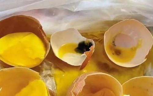 危害|菜市场这种鸡蛋别买,含有大量“毒素”,危害非常大