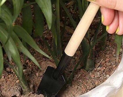 养花土太硬1种“液体”浇盆里!铲不动的土壤,10分钟后变松软