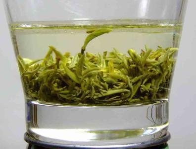 啤酒水淘米水浇花,关键“1步”不能少,否则变成养花“夺命水”