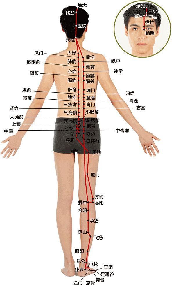 主任医师|立冬过后，长宁医生教你这样“晒背”养生……