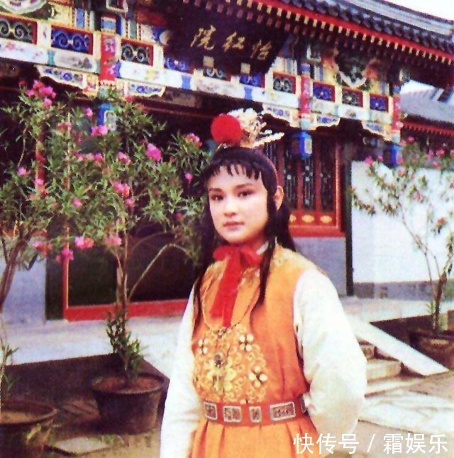 贾府$迎春嫁给孙绍组遭遇凄惨,贾府无人怜惜,唯有他心有戚戚