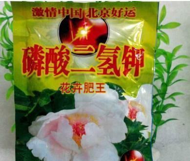 黄叶|绿萝又黄叶?一点“粉末”撒盆里,叶绿根壮,比啥肥料都好使