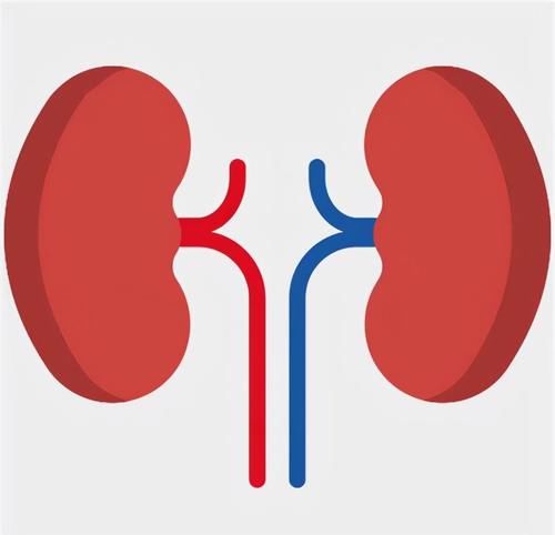控制血压|规律降压,5年后却肾衰竭?医生:3个错误,很多人都在犯