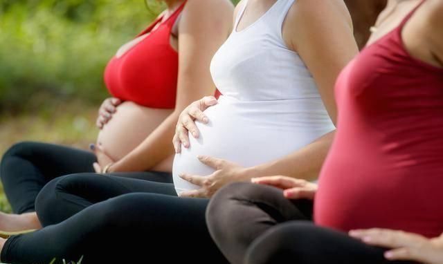 大脑|孕期抓住胎儿大脑发育3个“高峰期”,宝宝出生后,智商只高不低