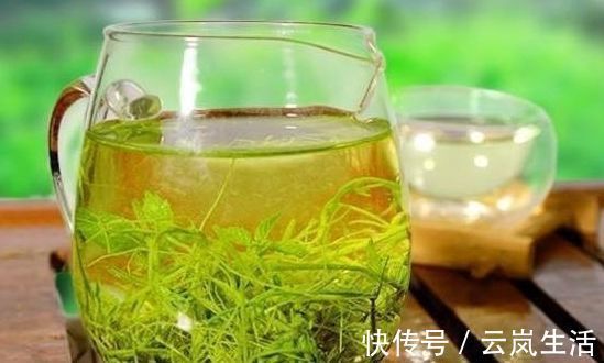 槐花|高血压的对手找到了,父母每天喝一杯,血压或许悄悄降下来