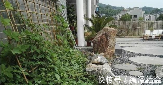 小院|自家小院简单改造就很美，生活废物可以利用，根本花不了多少钱！