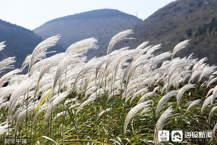 这就是秋天的枣庄山亭|组图| 紫云湖