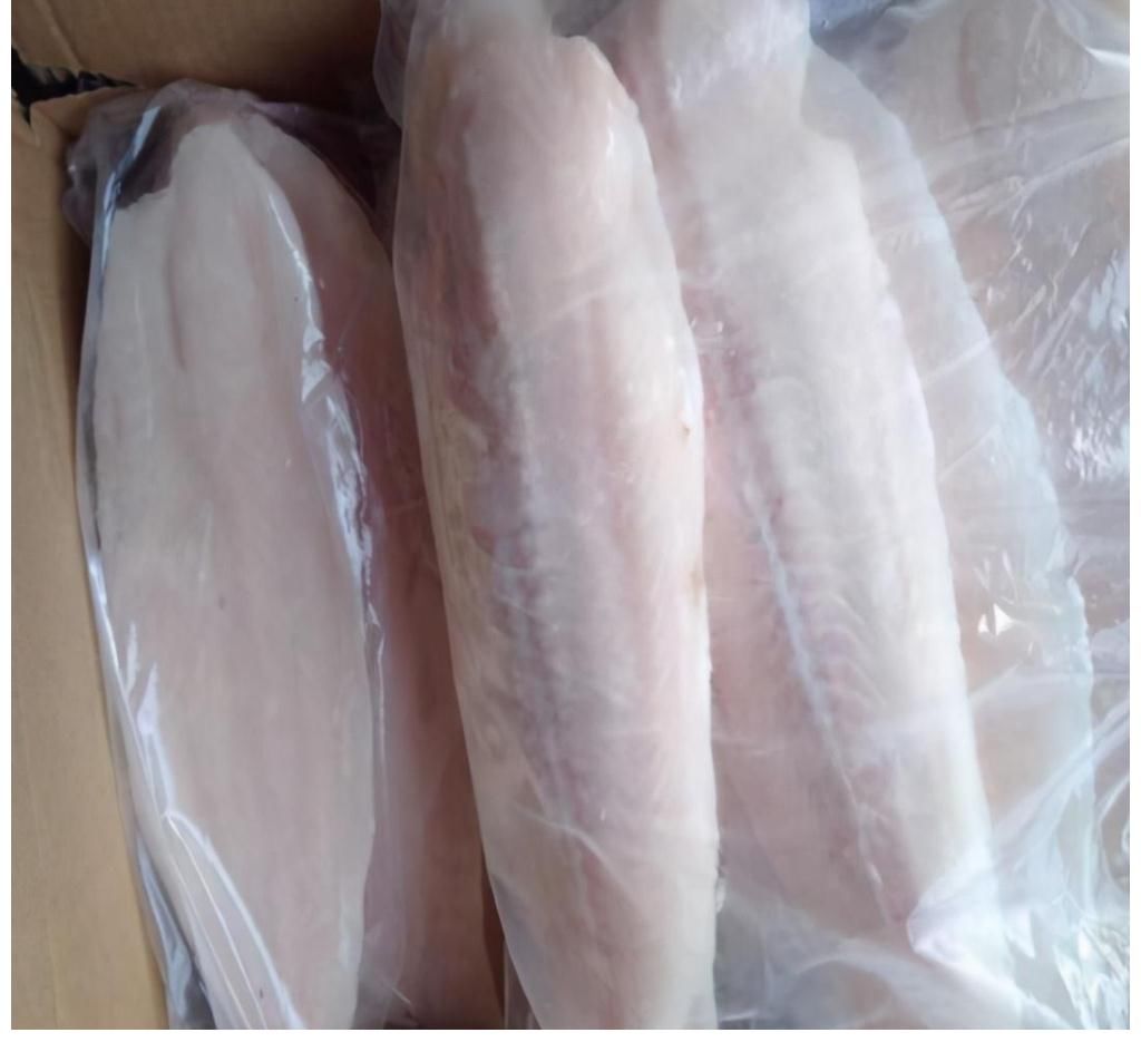 多利鱼和巴沙鱼哪个好