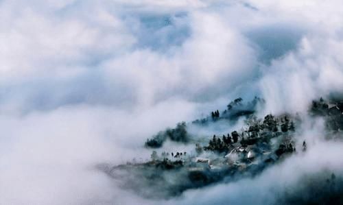 道由白云尽 春与青溪长 执着于格律 小心迷失自我 全网搜