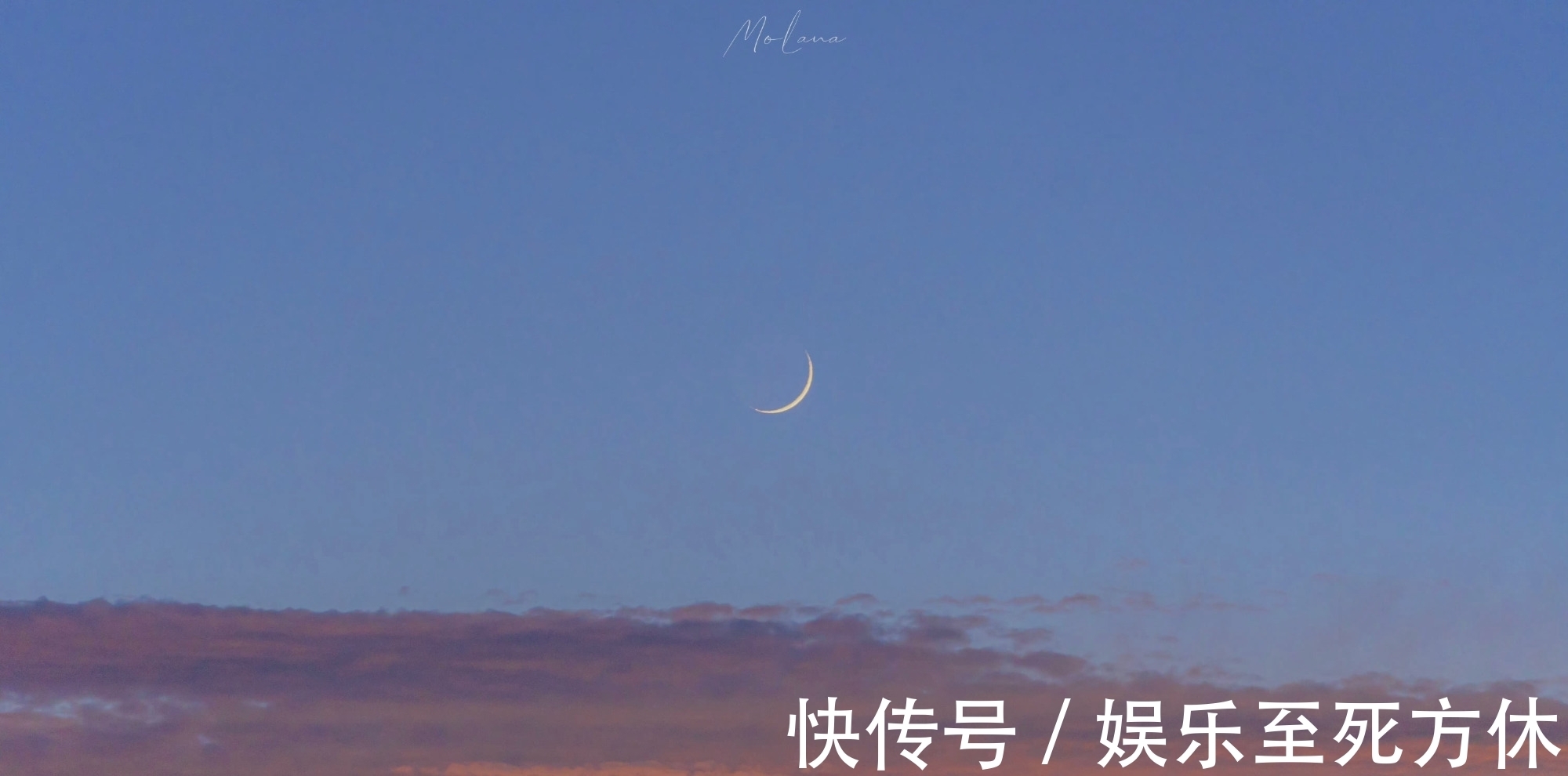 美人宜修@推文茶话会|男主教授文 清冷禁欲撩而不自知 强推《美人宜修》