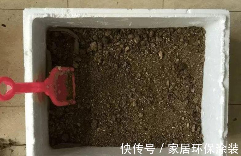 有机质|喜欢吃嫩玉米,喜欢养花,就拿玉米芯养花吧!自制肥超省钱