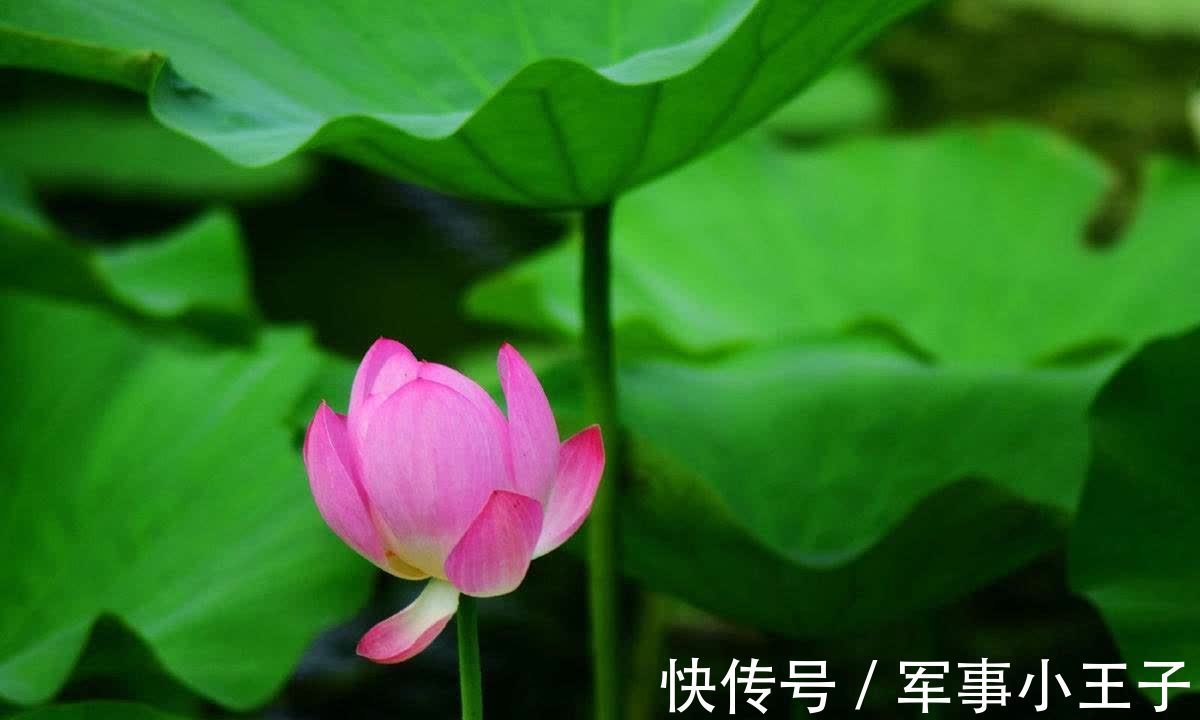 吕坤|为人处世时,有这四个“忌讳”,越早知道越好!