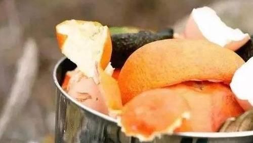 怎么让浇花效果事半功倍？掌握3个小窍门，黄叶烂根问题少很多