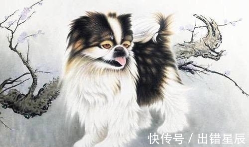 生肖|2月聚财拢福,3大生肖咸鱼翻身,一生行大运赚大钱