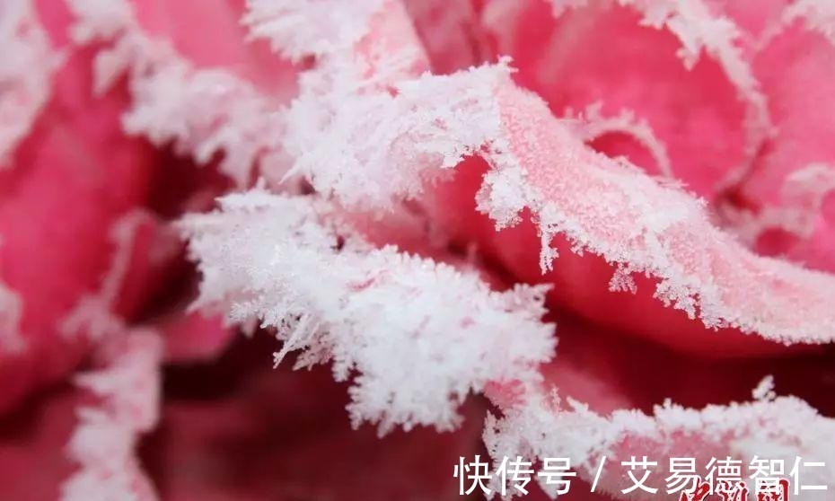 脚婆$如何用古诗文形容一个人丑, 杀伤力太大了!