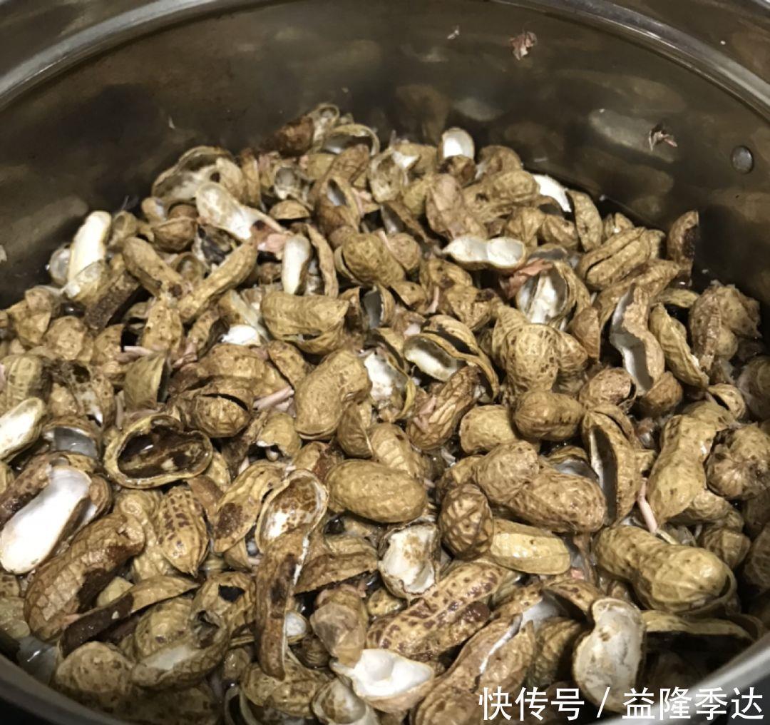 煤渣|家里吃剩的果皮,拿来养花嗖嗖长,不黄叶、开花多