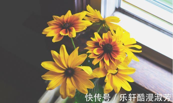 感情|没有隔夜仇,吵架之后先妥协,主动放下恩怨的星座