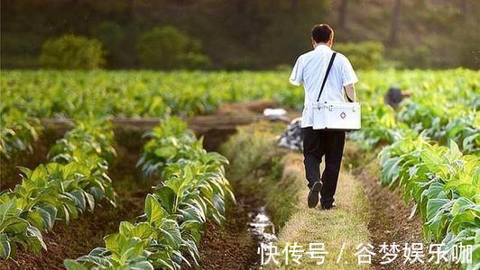 中西医结合杂志|一味“去瘊子”的中药!泡在醋里,外擦患处,中医人的无私分享