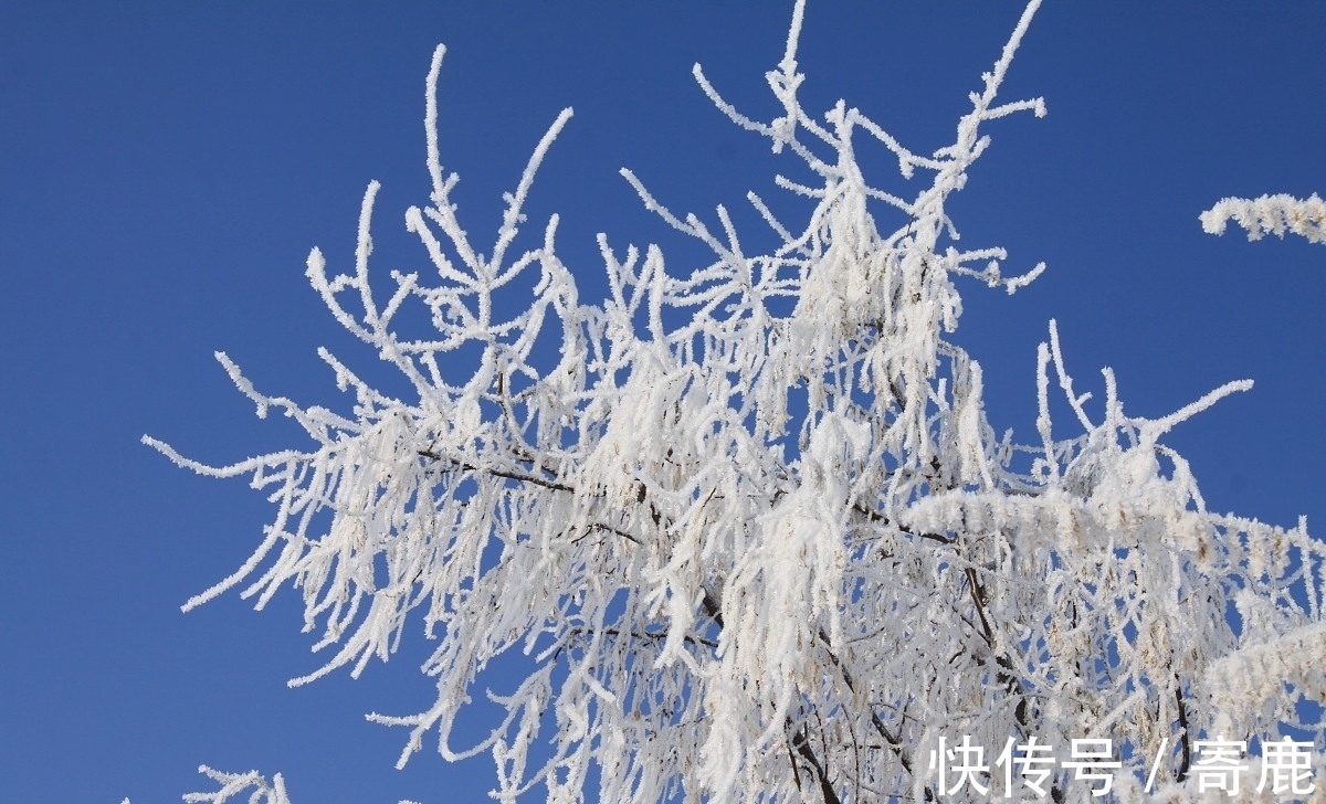 雪月@李商隐两首雪诗品读，寒冷里的悲怀和牵挂